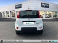 FIAT Panda 1.0 70ch BSG S&S