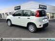 FIAT Panda 1.0 70ch BSG S&S