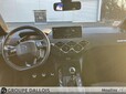 DS DS 3 Crossback BlueHDi 100ch Performance Line